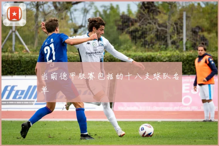 当前德甲联赛包括的十八支球队名单