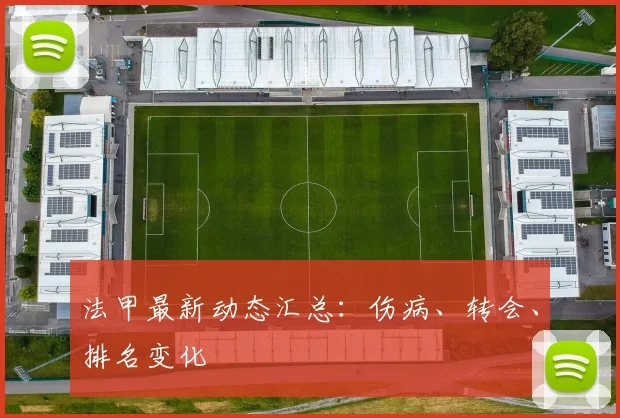 法甲最新动态汇总：伤病、转会、排名变化