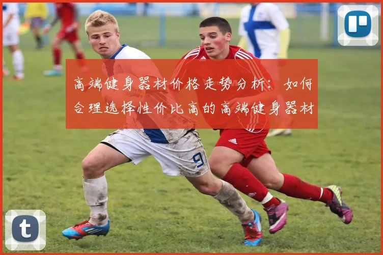 高端健身器材价格走势分析：如何合理选择性价比高的高端健身器材